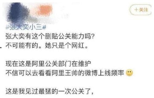 娱乐吃瓜老婆全文阅读,娱乐圈的甜蜜复仇记