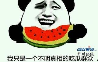 娱乐吃瓜酱到此为止